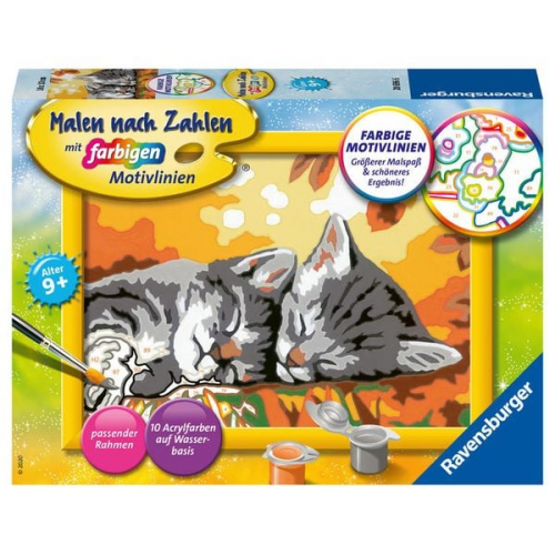 Ravensburger - Malen nach Zahlen - Kätzchen im Herbst