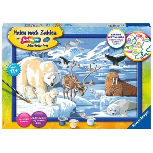 Ravensburger - Malen nach Zahlen - Tiere der Arktis