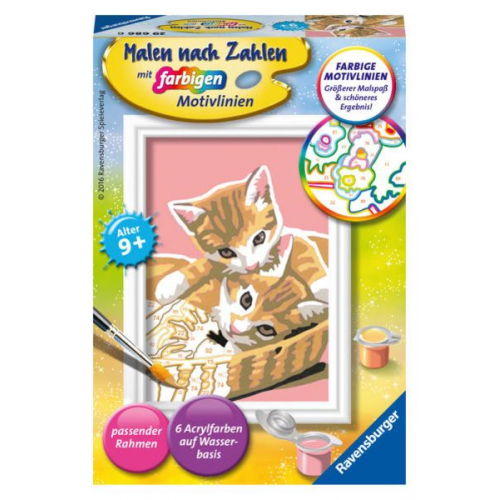 Ravensburger Malen nach Zahlen, Katzenbabys