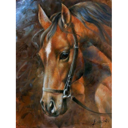 Diamond Painting Pferd 40x30 cm