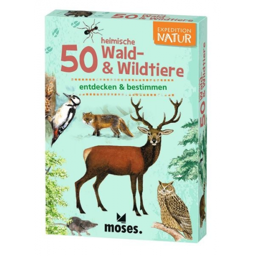 Moses. - Expedition Natur 50 heimische Wald- & Wildtiere