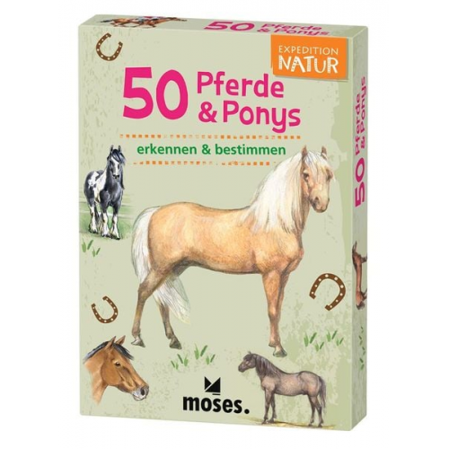 Moses. - Expedition Natur 50 Pferde & Ponys