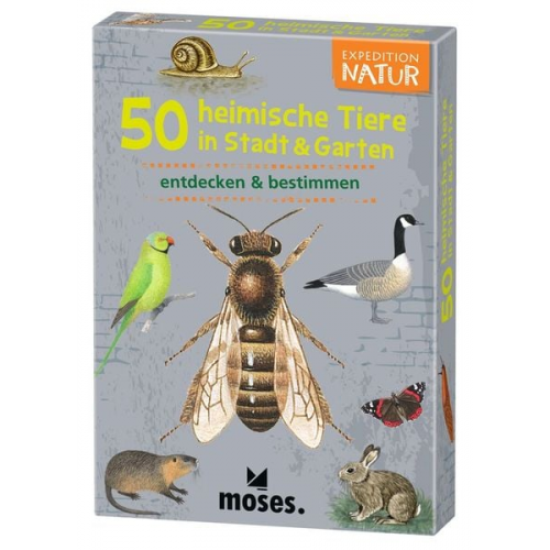 Moses. - Expedition Natur 50 heimische Tiere in Stadt & Garten