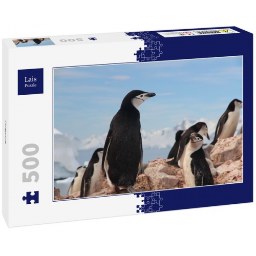 Lais Puzzle Pinguine 500 Teile