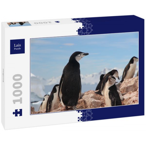 Lais Puzzle Pinguine 1000 Teile