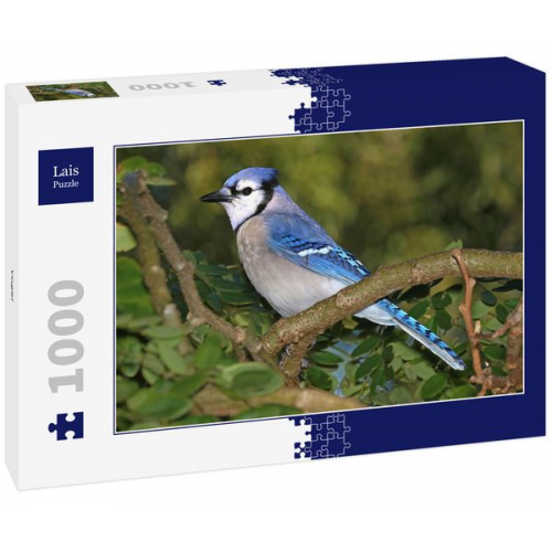 Lais Puzzle Vogel 1000 Teile