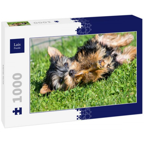 Lais Puzzle kleiner Hund 1000 Teile