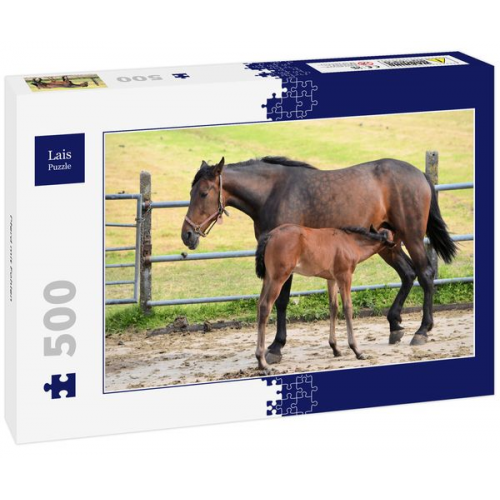 Lais Puzzle Pferd mit Fohlen 500 Teile