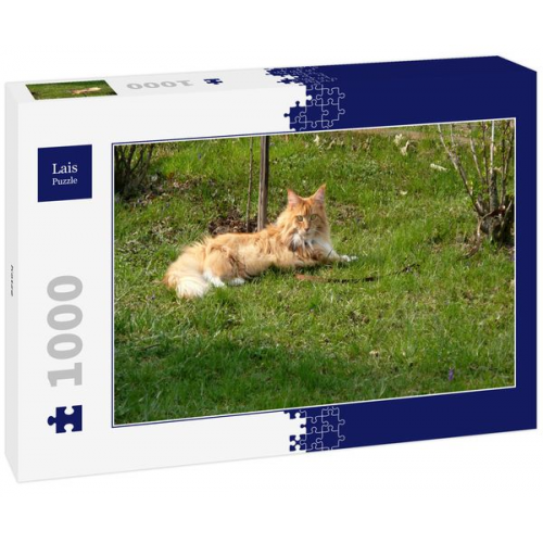 Lais Puzzle Katze 1000 Teile