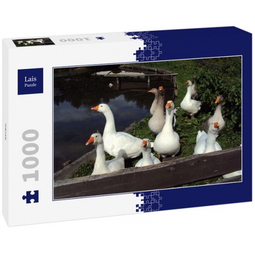 Lais Puzzle Gänse 1000 Teile