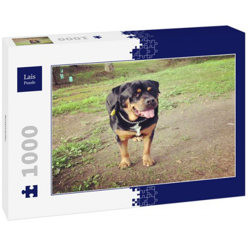 Lais Puzzle Rottweiler 1000 Teile