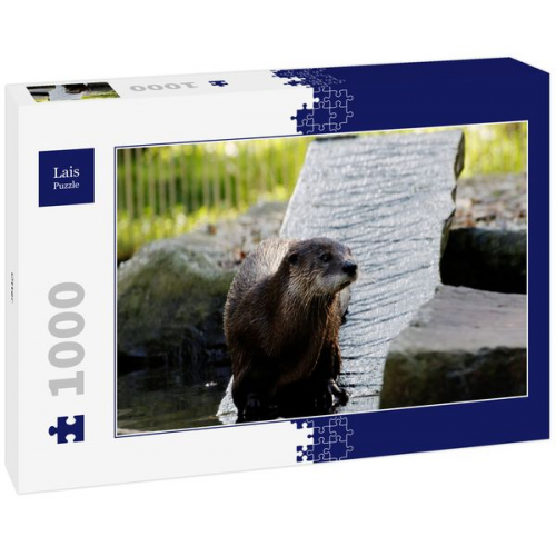Lais Puzzle Otter 1000 Teile