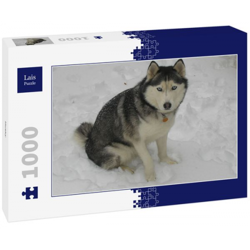 Lais Puzzle Husky 1000 Teile