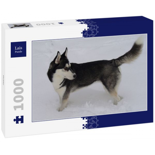 Lais Puzzle Husky 1000 Teile
