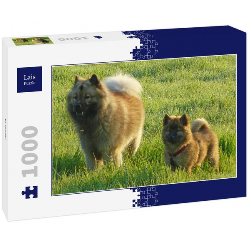 Lais Puzzle Eurasier 1000 Teile