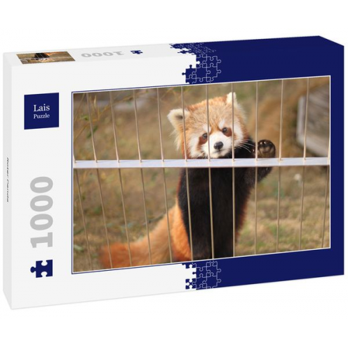Lais Puzzle Roter Panda 1000 Teile