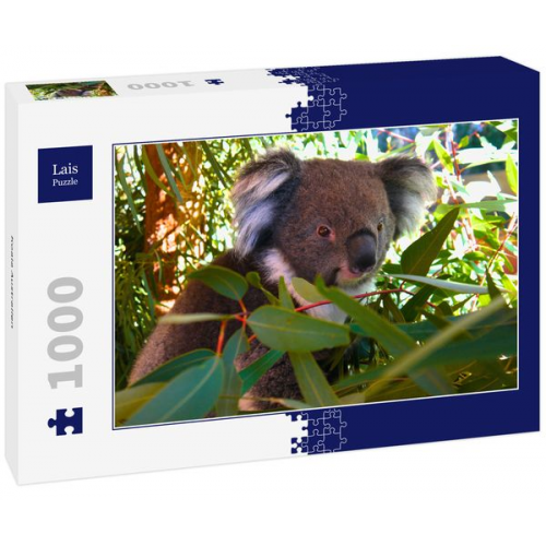 Lais Puzzle Koala Australien 1000 Teile