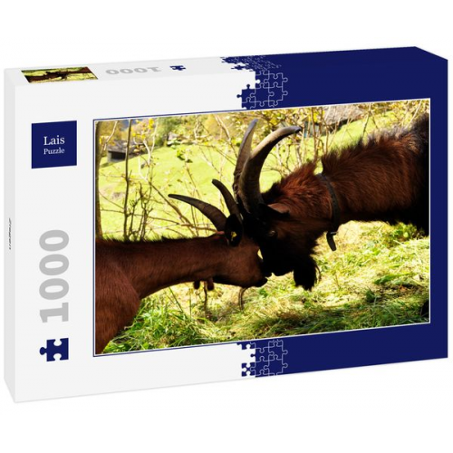 Lais Puzzle Ziegen 1000 Teile