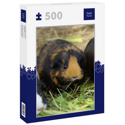 Lais Puzzle Meerschweinchen 500 Teile