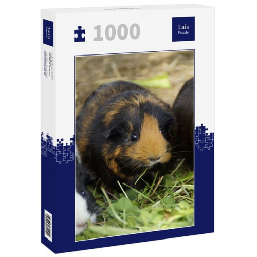 Lais Puzzle Meerschweinchen 1000 Teile