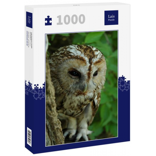 Lais Puzzle Eule 1000 Teile