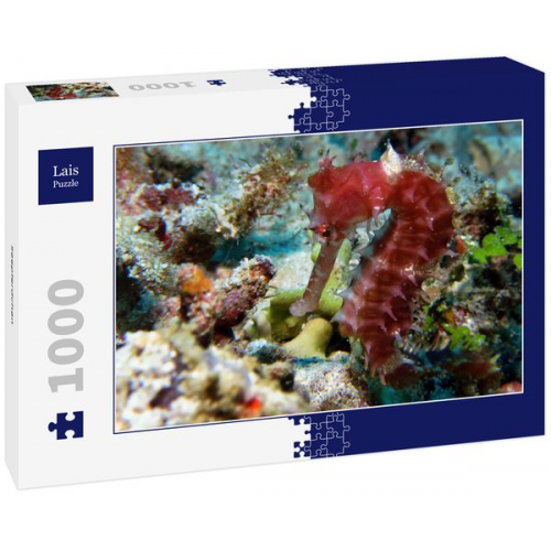 Lais Puzzle Seepferdchen 1000 Teile