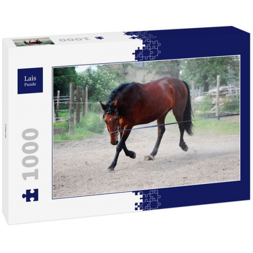 Lais Puzzle Pferd 1000 Teile