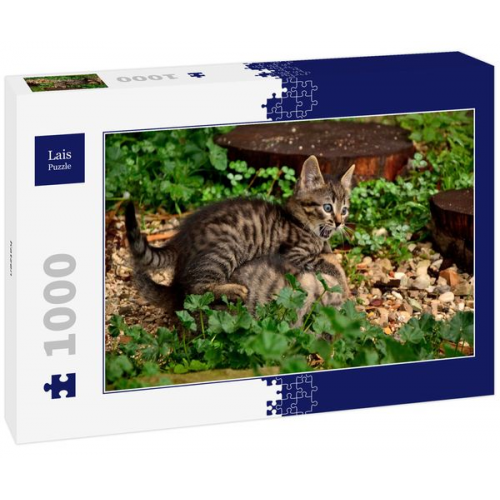 Lais Puzzle Katzen 1000 Teile