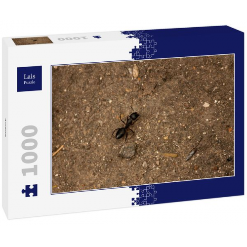 Lais Puzzle Ameise 1000 Teile