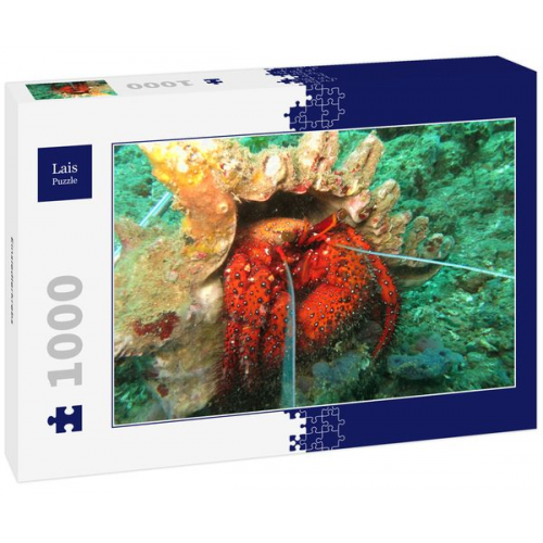 Lais Puzzle Einsiedlerkrebs 1000 Teile