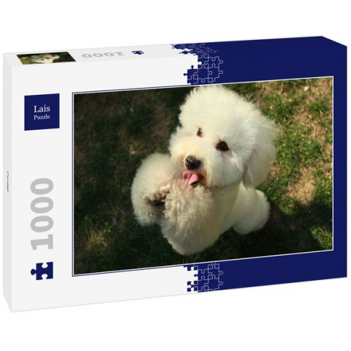 Lais Puzzle Pudel 1000 Teile