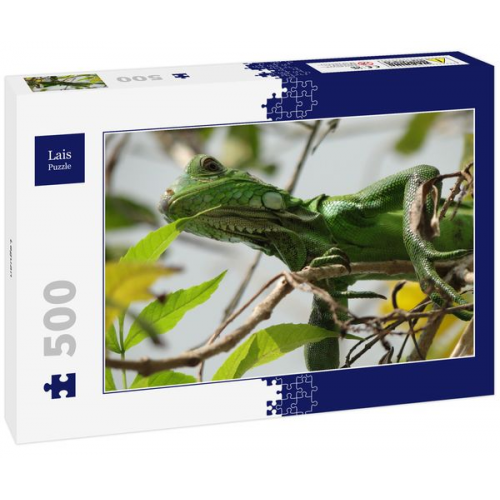 Lais Puzzle Leguan 500 Teile