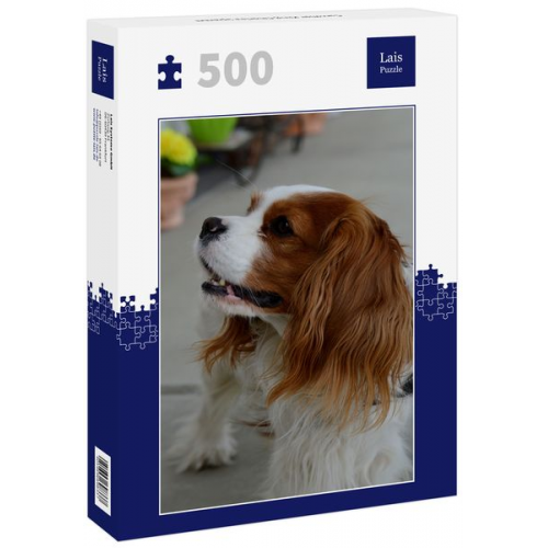 Lais Puzzle Cavalier King Charles Spaniel 500 Teile