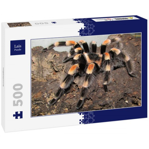 Lais Puzzle Vogelspinne 500 Teile