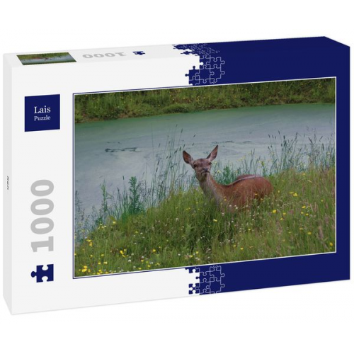 Lais Puzzle Reh 1000 Teile