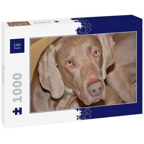 Lais Puzzle Weimaraner 1000 Teile