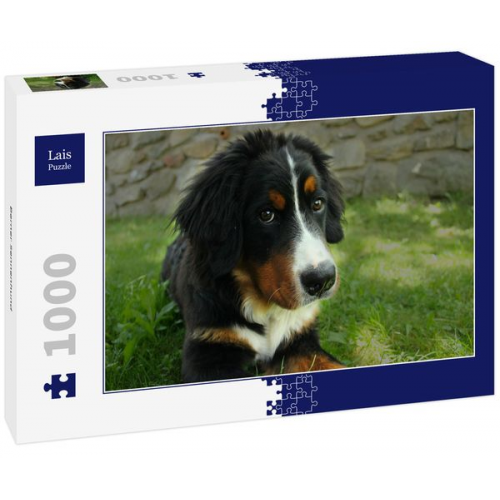 Lais Puzzle Berner Sennenhund 1000 Teile