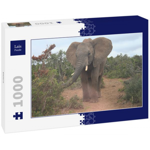 Lais Puzzle Elefant 1000 Teile