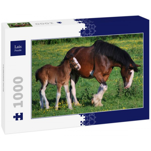 Lais Puzzle Clydesdale Horse 1000 Teile