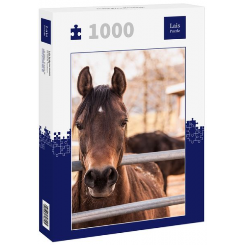 Lais Puzzle Thoroughbred Horse 1000 Teile