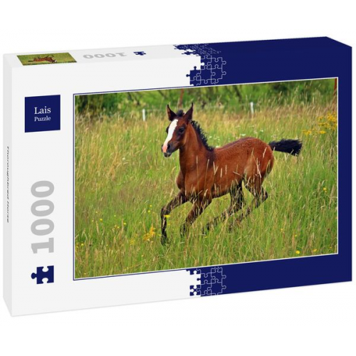 Lais Puzzle Thoroughbred Horse 1000 Teile