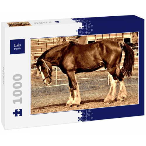 Lais Puzzle Shire Horse 1000 Teile