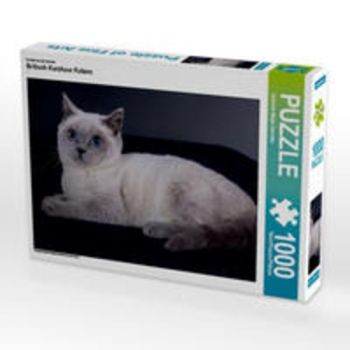 CALVENDO Puzzle Britisch Kurzhaar Katzen 1000 Teile Lege-Größe 64 x 48 cm Foto-Puzzle Bild von Gabriela Wejat-Zaretzke