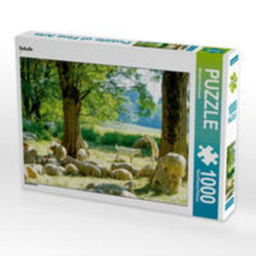 CALVENDO Puzzle Schafe 1000 Teile Lege-Größe 64 x 48 cm Foto-Puzzle Bild von Michael Brückmann