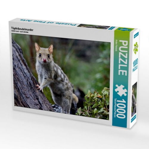 Tüpfelbeutelmarder (Puzzle)