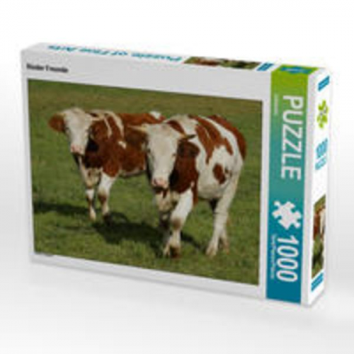 CALVENDO Puzzle Rinder Freunde 1000 Teile Lege-Größe 64 x 48 cm Foto-Puzzle Bild von kattobello