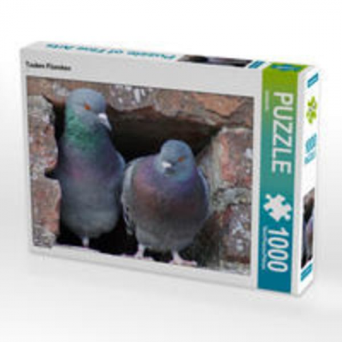 CALVENDO Puzzle Tauben Päarchen 1000 Teile Lege-Größe 64 x 48 cm Foto-Puzzle Bild von kattobello