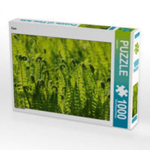 CALVENDO Puzzle Farn 1000 Teile Lege-Größe 64 x 48 cm Foto-Puzzle Bild von kattobello