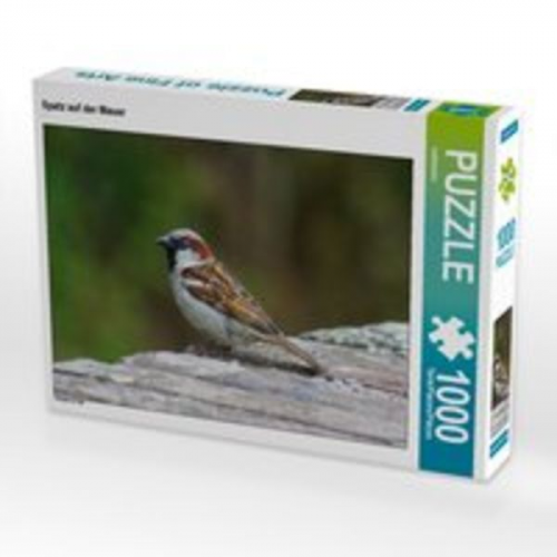 CALVENDO Puzzle Spatz auf der Mauer 1000 Teile Lege-Größe 64 x 48 cm Foto-Puzzle Bild von kattobello