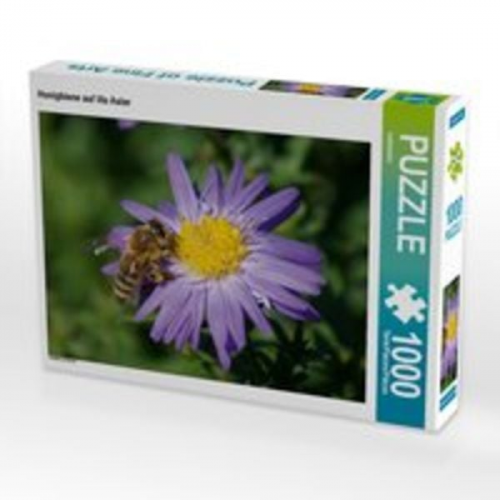 CALVENDO Puzzle Honigbiene auf lila Aster 1000 Teile Lege-Größe 64 x 48 cm Foto-Puzzle Bild von kattobello